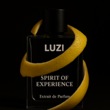 Spirit Of Experience