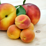 Sweet Peach Zodiac Enterprise