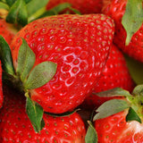 Strawberry Zodiac Enterprise