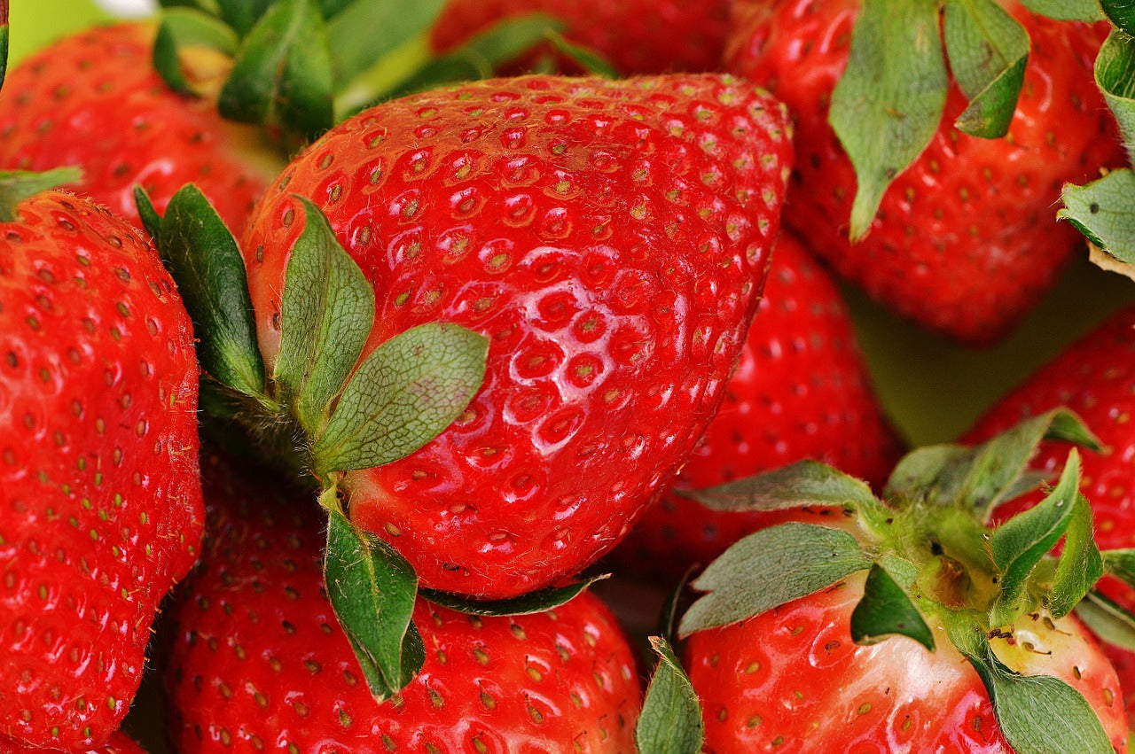 Strawberry Zodiac Enterprise