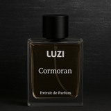 Cormoran