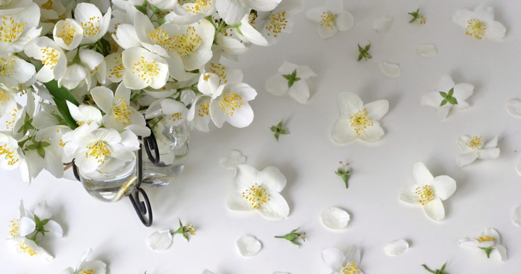 White Musk Zodiac Enterprise