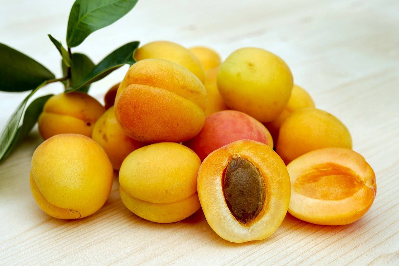 Apricot Zodiac Enterprise