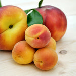 Sweet Peach Zodiac Enterprise