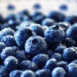 Blueberry Zodiac Enterprise