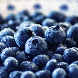 Blueberry Zodiac Enterprise
