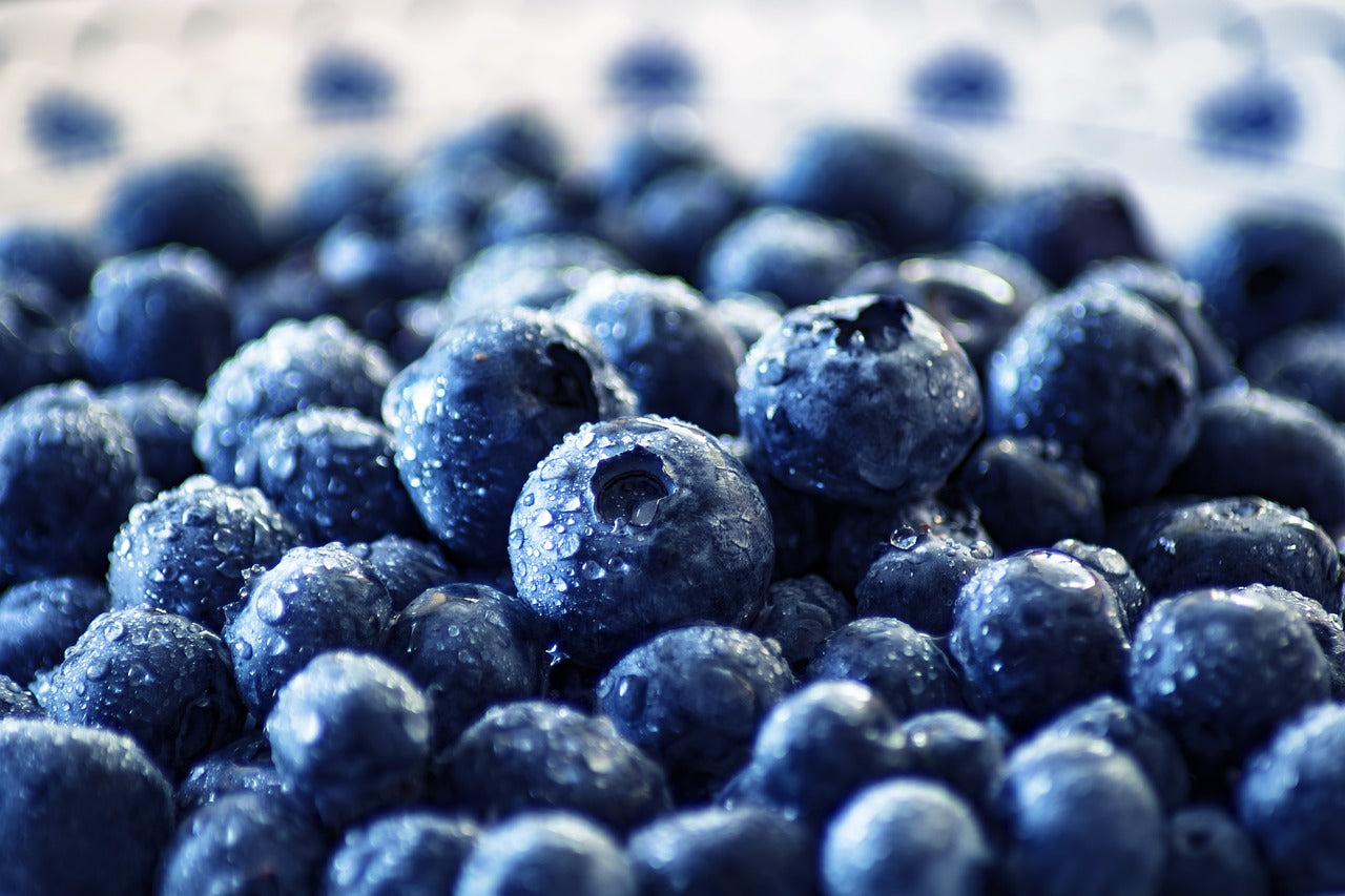 Blueberry Zodiac Enterprise